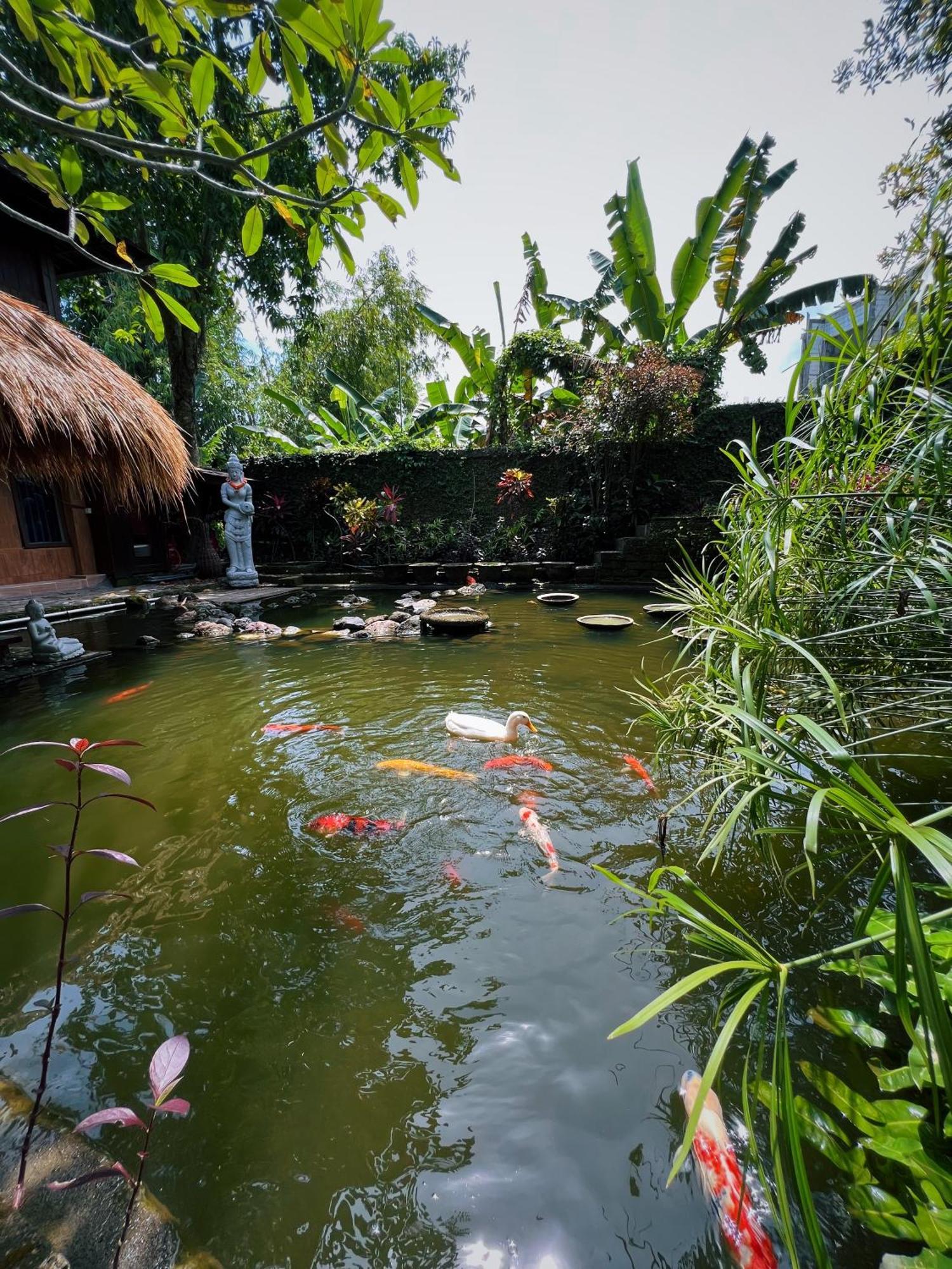 Villa Neshama Canggu Zewnętrze zdjęcie
