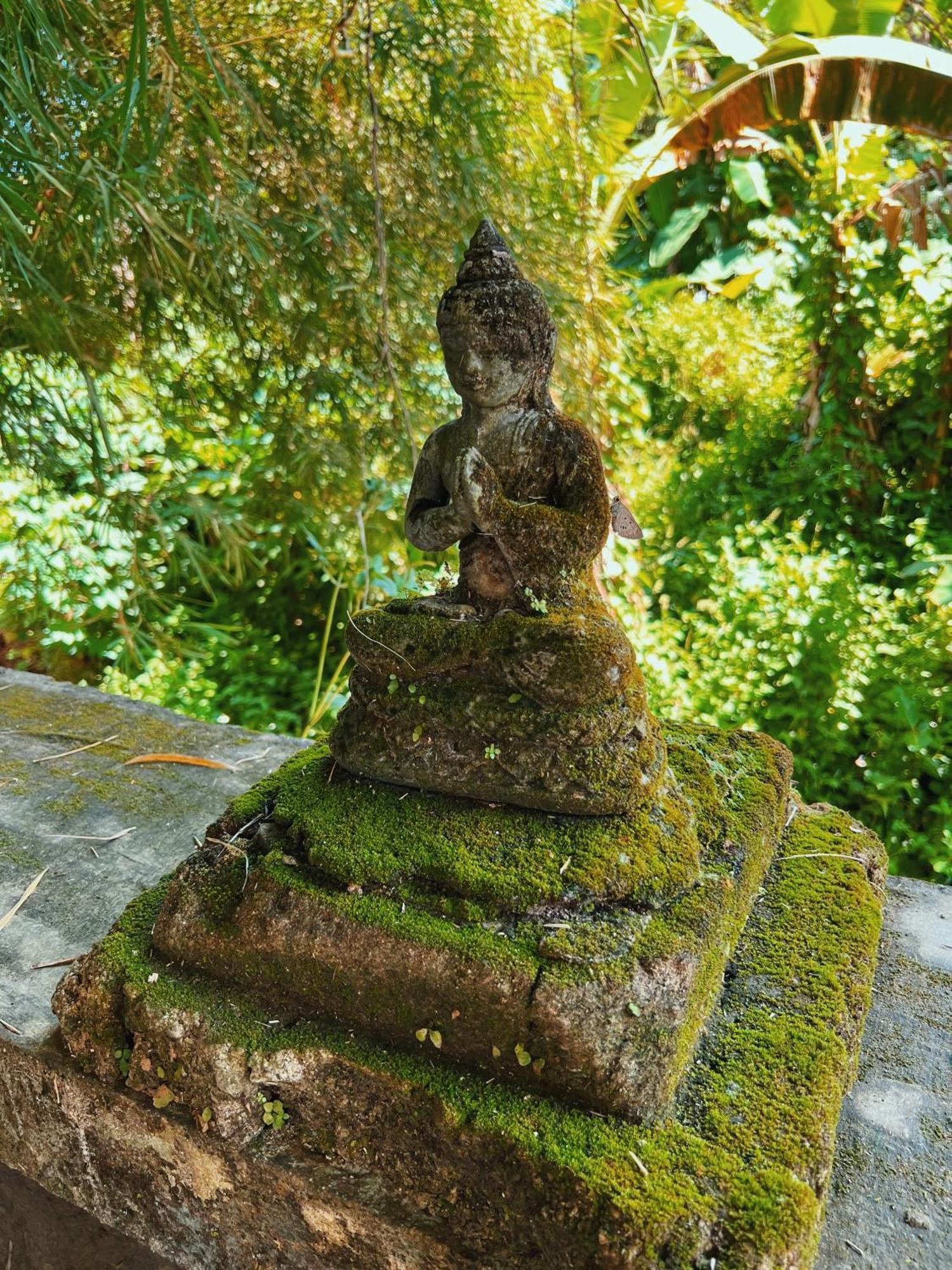 Villa Neshama Canggu Zewnętrze zdjęcie