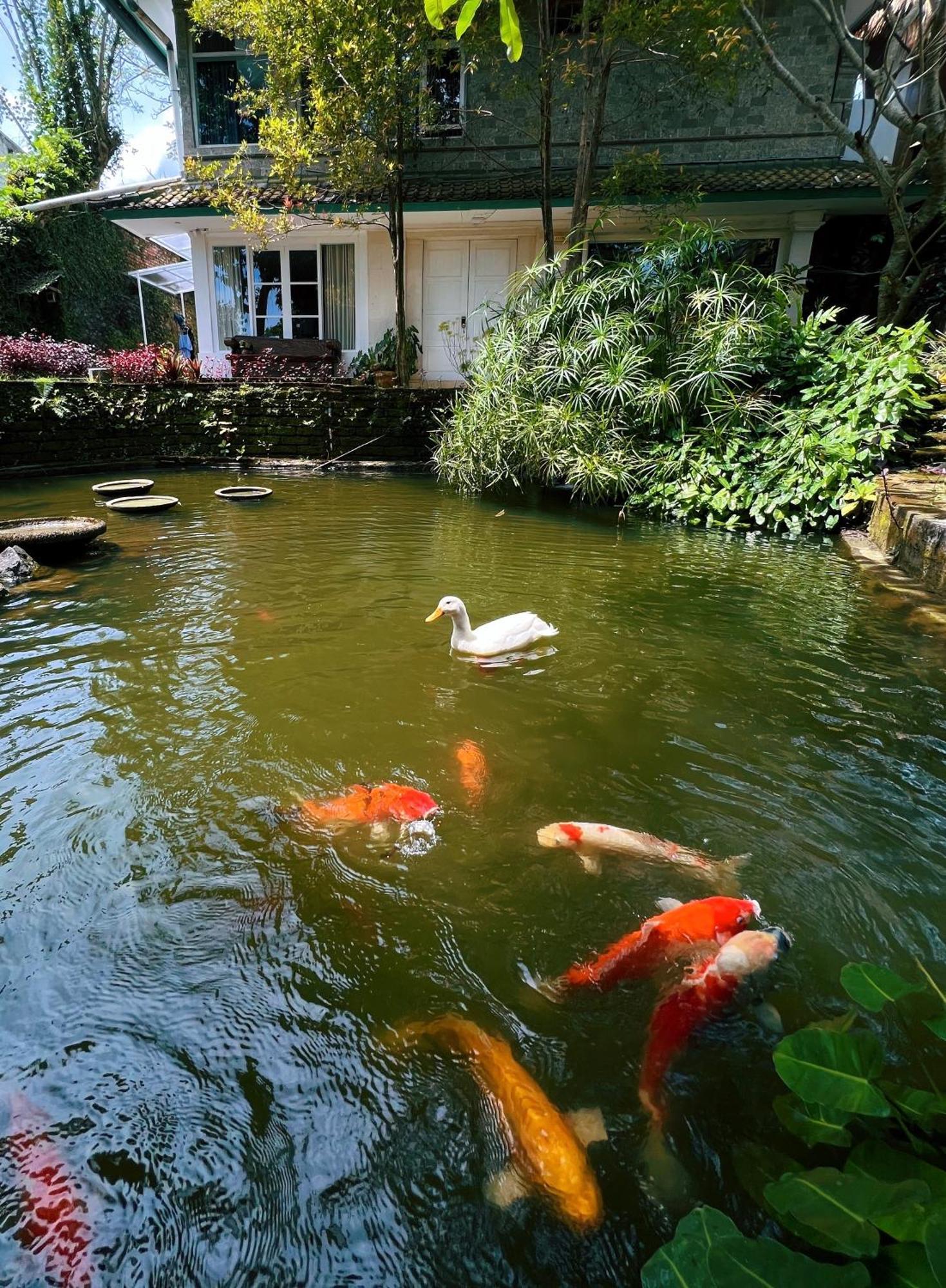 Villa Neshama Canggu Zewnętrze zdjęcie