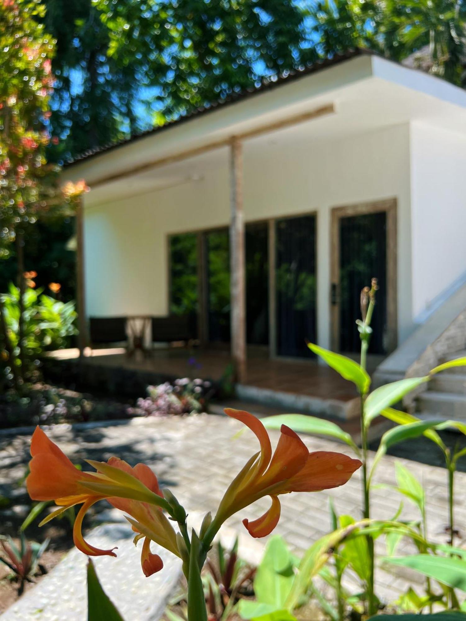 Villa Neshama Canggu Zewnętrze zdjęcie