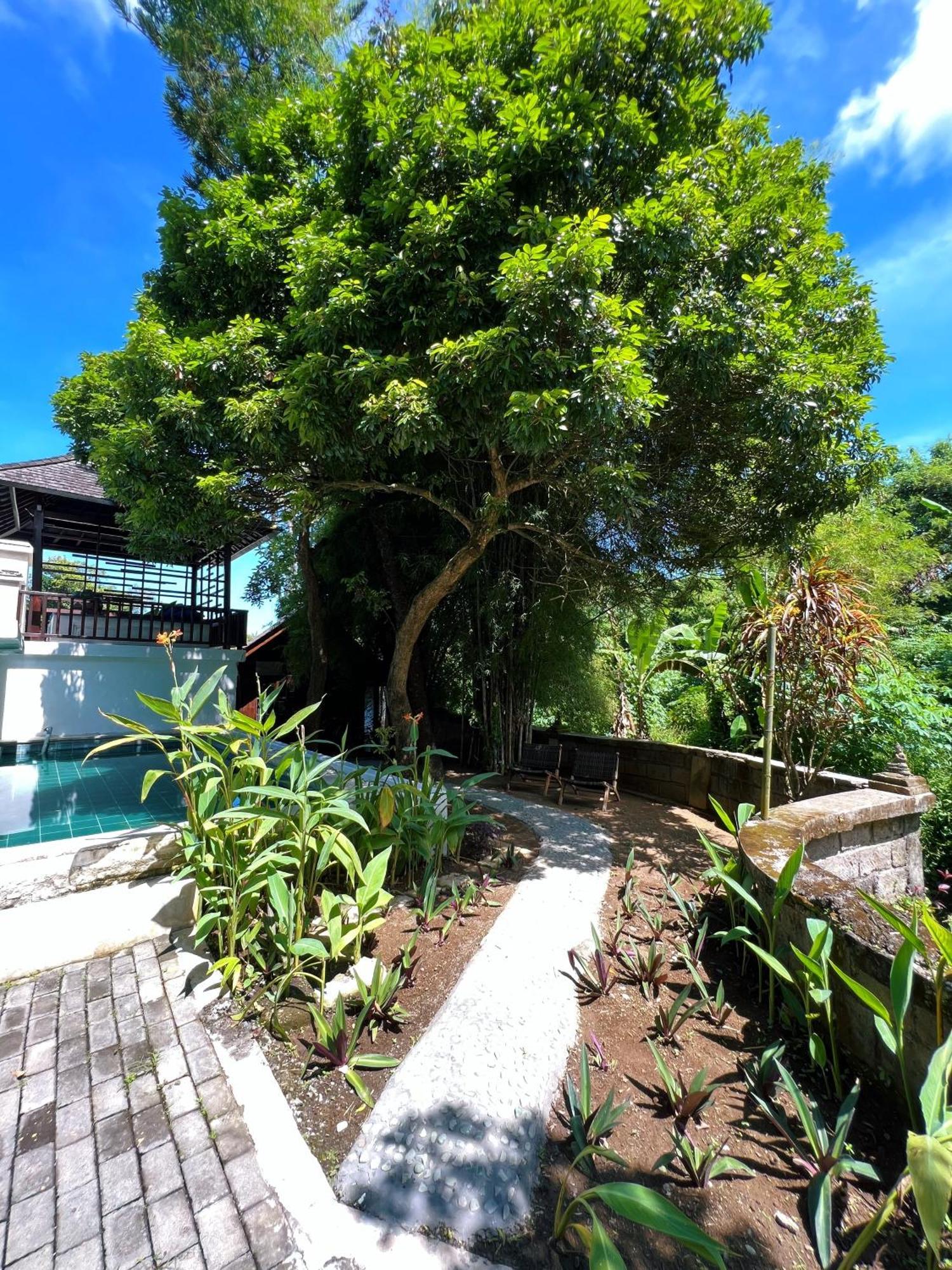 Villa Neshama Canggu Zewnętrze zdjęcie