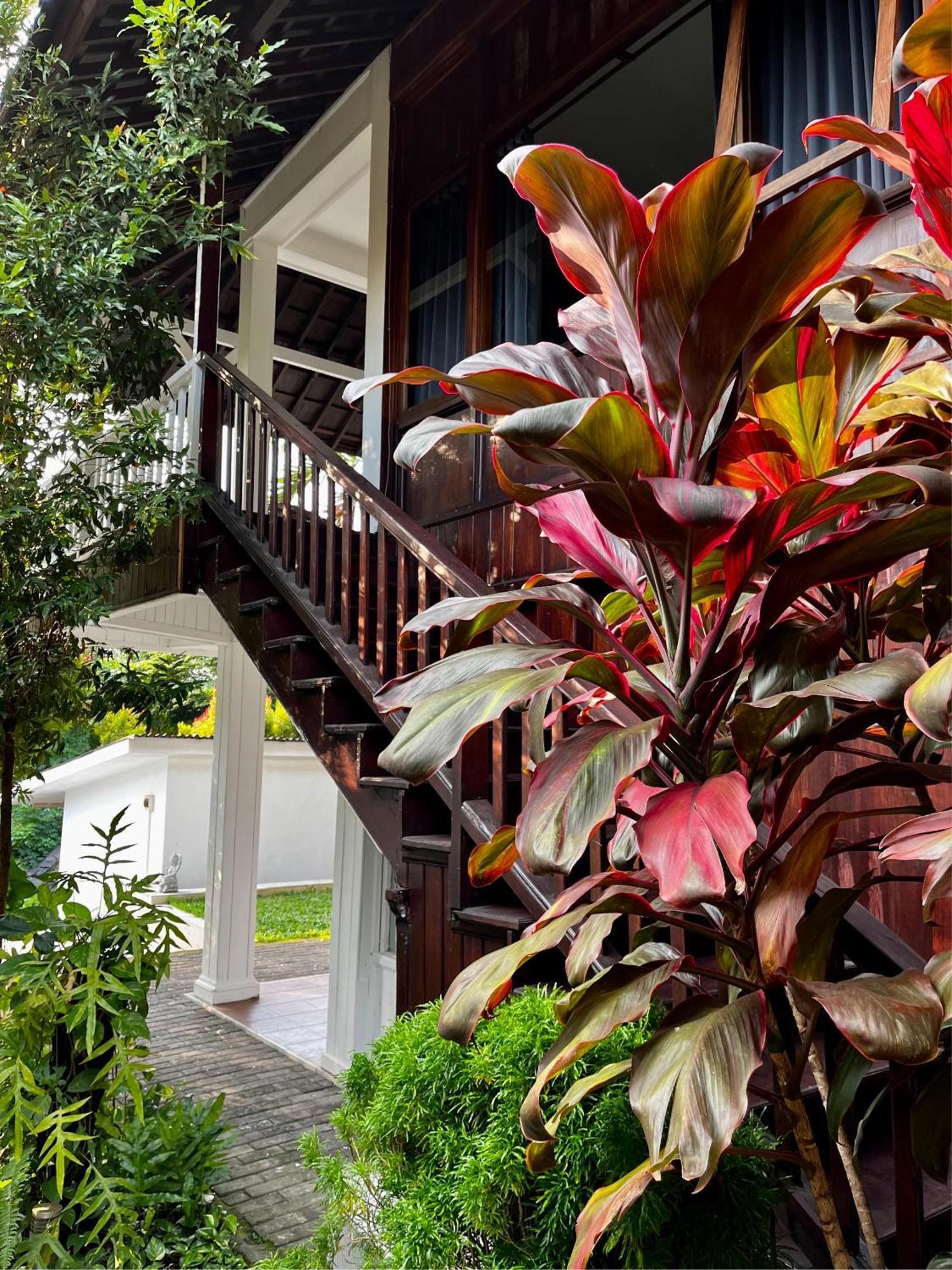 Villa Neshama Canggu Zewnętrze zdjęcie