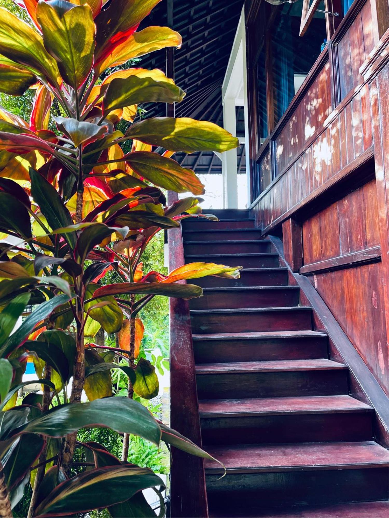 Villa Neshama Canggu Zewnętrze zdjęcie